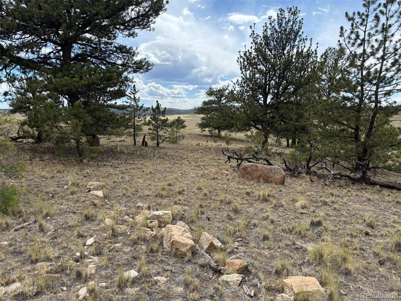 99 Arapaho Ct, Hartsel, CO 80449