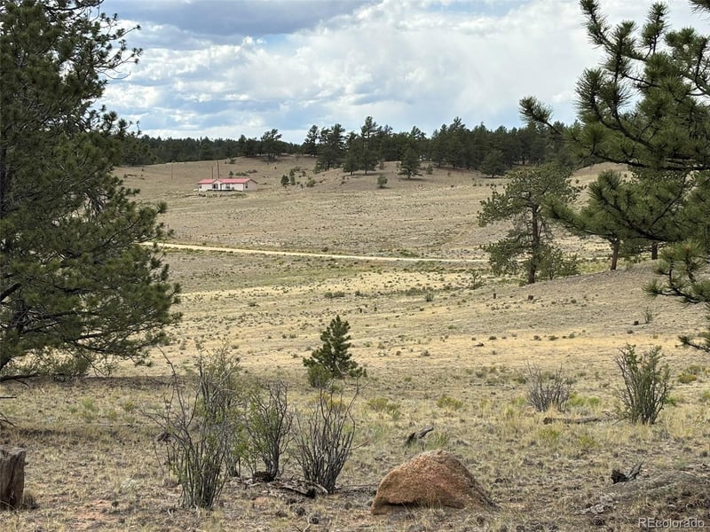99 Arapaho Ct, Hartsel, CO 80449