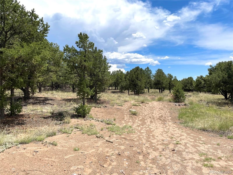 Tract 6 PHILLEO ANNEX Philleo Way, Crestone, CO 81131