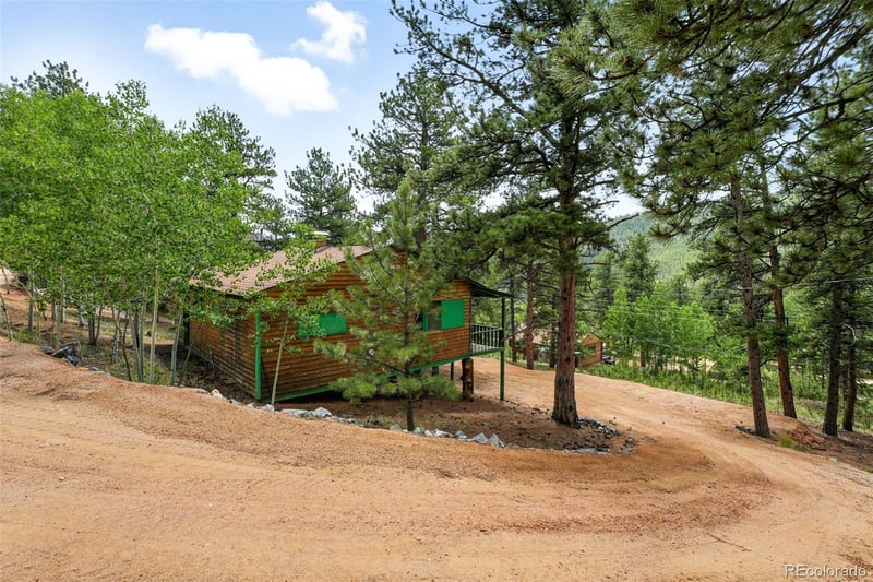 132 Jones Rd, Bailey, CO 80421