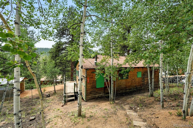 132 Jones Rd, Bailey, CO 80421