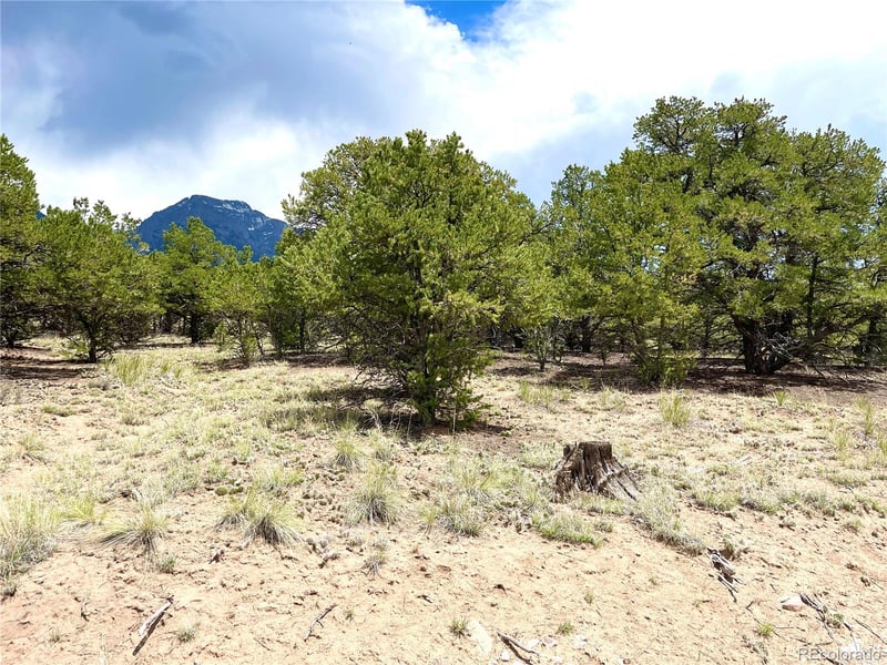 TRACT 4 PHILLEO ANNEX Philleo Way, Crestone, CO 81131