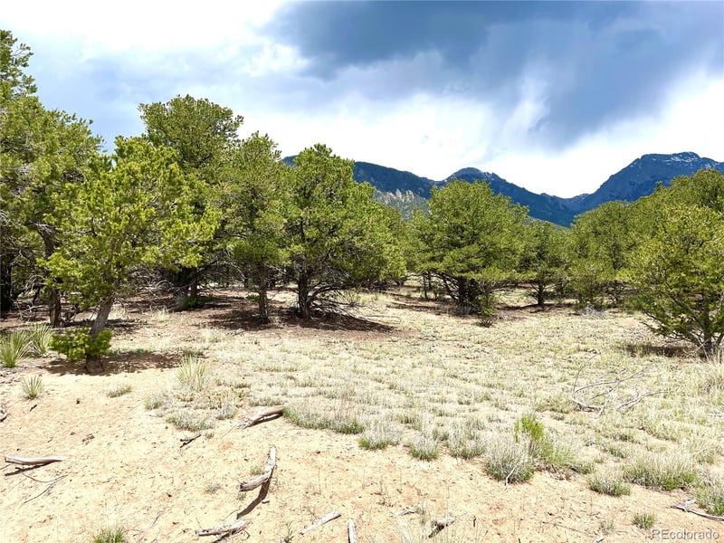 TRACT 4 PHILLEO ANNEX Philleo Way, Crestone, CO 81131