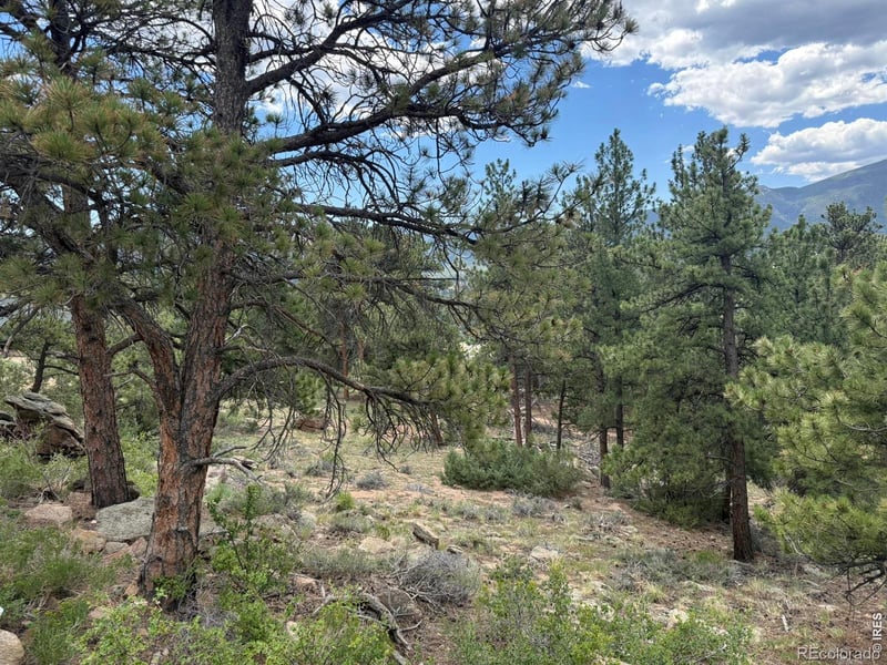 Prospect Mountain Dr, Estes Park, CO 80517