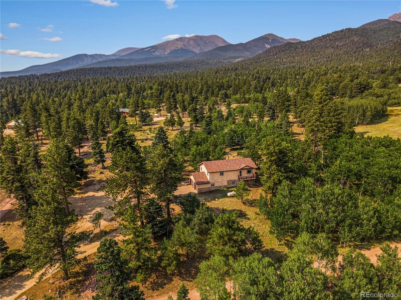 206 Little Horn Rd, Westcliffe, CO 81252