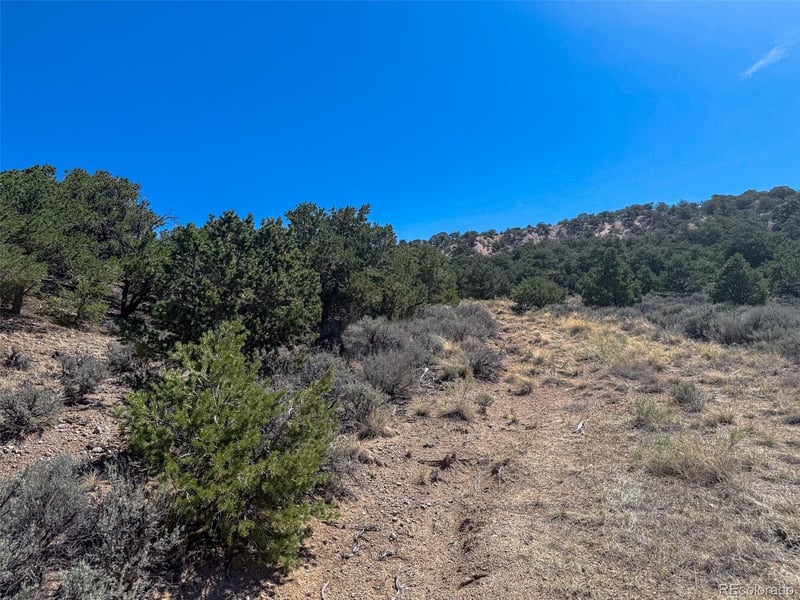 2153 Acapulco Rd, Fort Garland, CO 81133