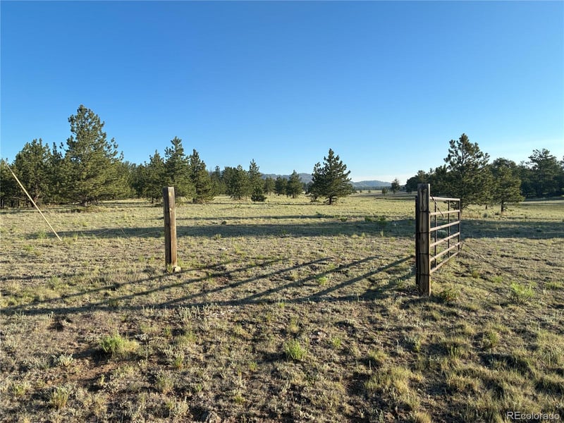 000 Doe Valley Rd, Guffey, CO 80820