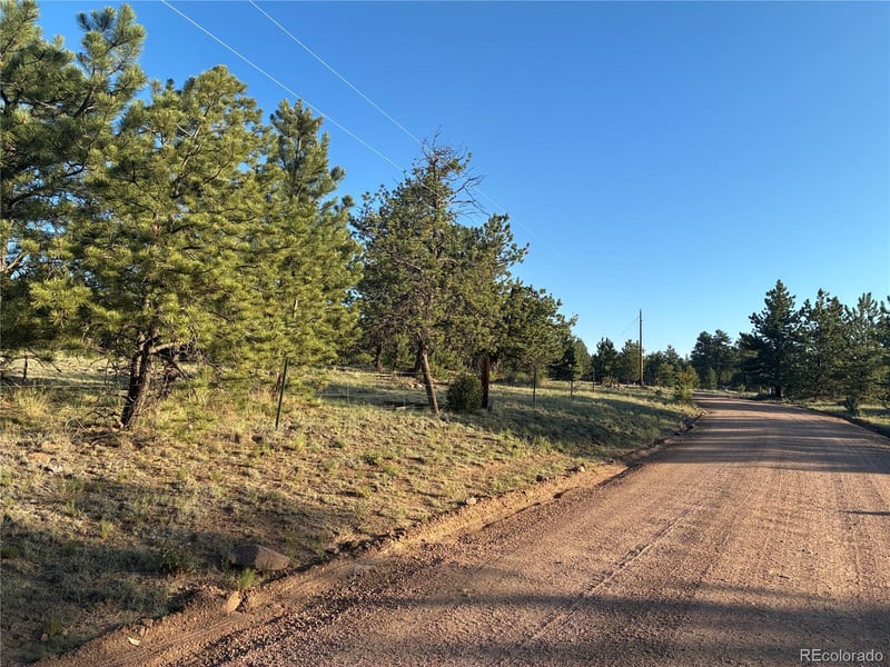 000 Doe Valley Rd, Guffey, CO 80820