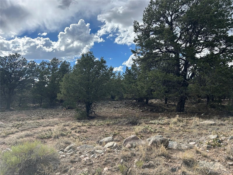 1661 Willow Creek Way, Crestone, CO 81131