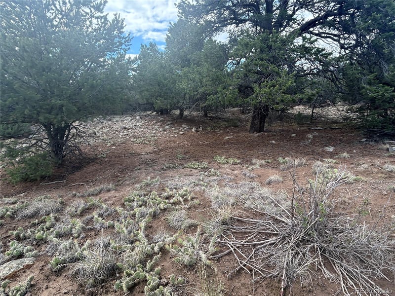 1661 Willow Creek Way, Crestone, CO 81131