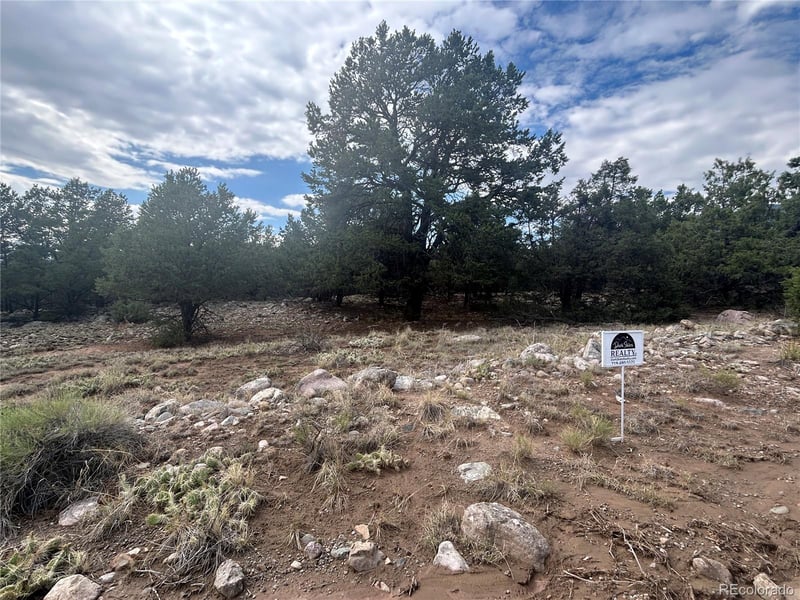 1661 Willow Creek Way, Crestone, CO 81131