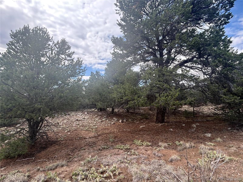 1661 Willow Creek Way, Crestone, CO 81131