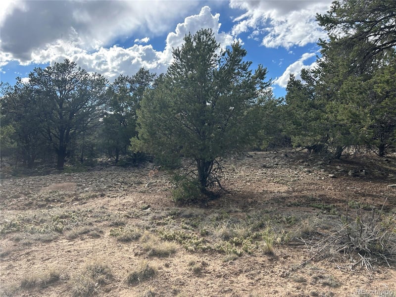1661 Willow Creek Way, Crestone, CO 81131