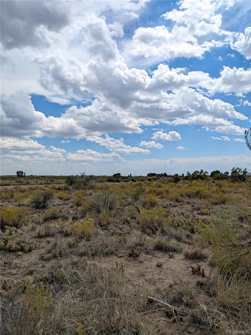 411 Camino Del Rey, Crestone, CO 81131