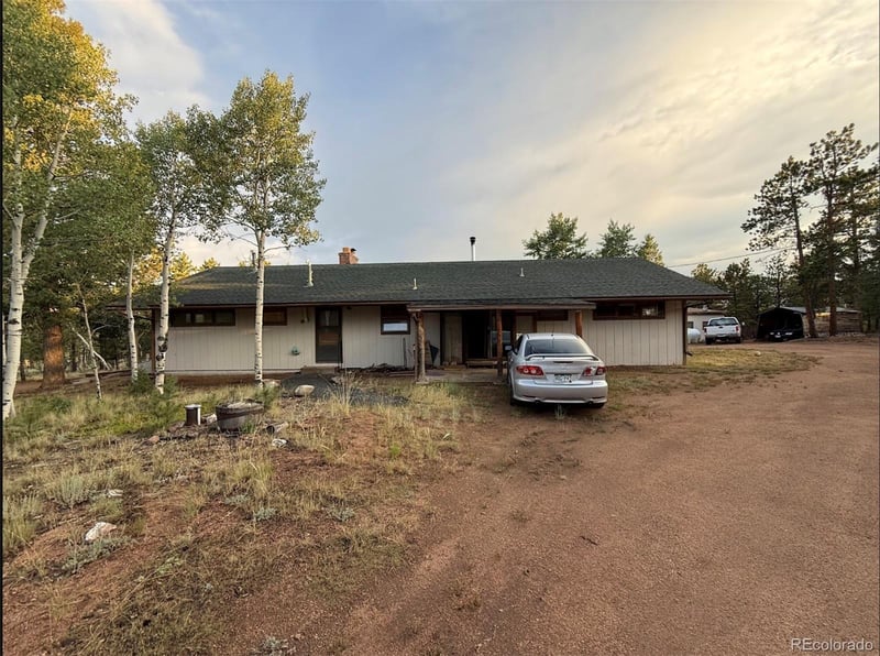 98 Two Bits St, Bailey, CO 80241