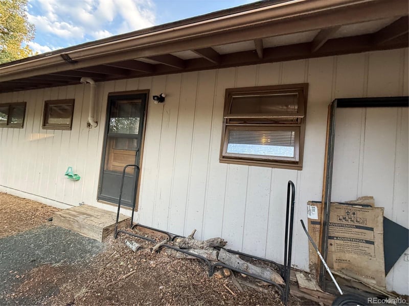 98 Two Bits St, Bailey, CO 80241