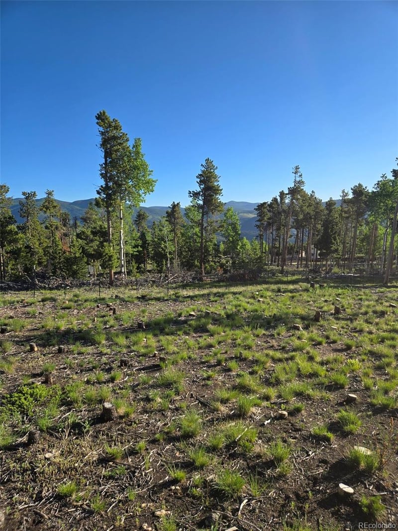 000 Frank C, Idaho Springs, CO 80452