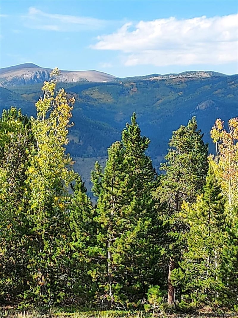 000 Frank C, Idaho Springs, CO 80452