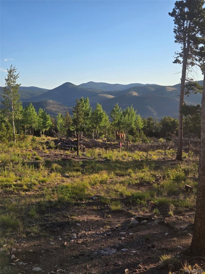 000 Frank C, Idaho Springs, CO 80452