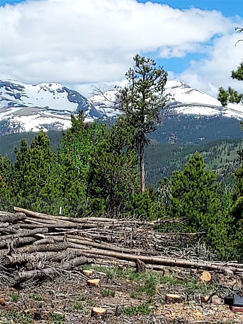 000 Frank C, Idaho Springs, CO 80452