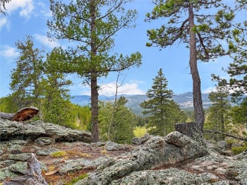350 Foxtail Dr, Black Hawk, CO 80422