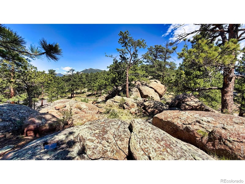 Meadows Cir, Estes Park, CO 80517