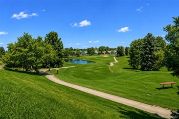 15 Tamerlain Ct, Littleton, CO 80130