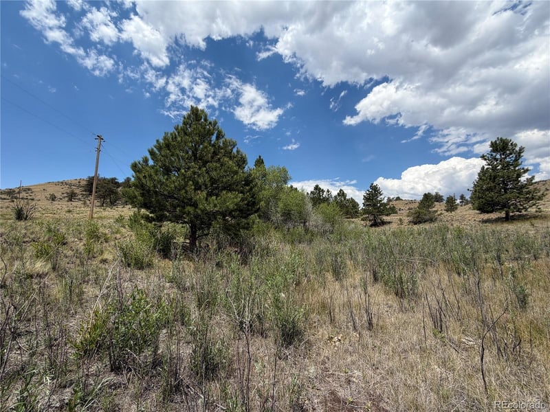 Trout St, Hartsel, CO 80449