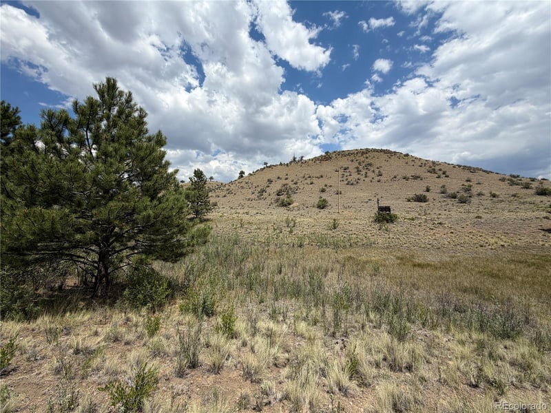 Trout St, Hartsel, CO 80449
