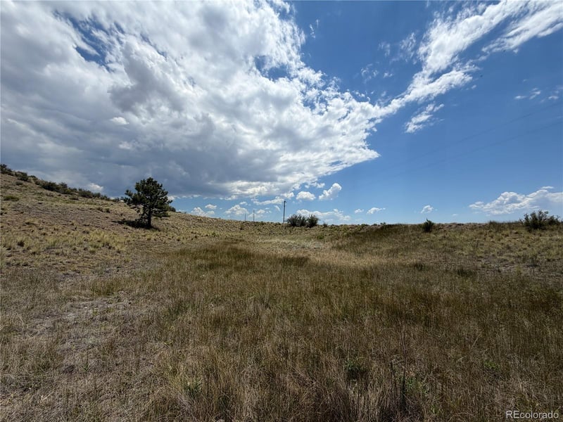 Trout St, Hartsel, CO 80449