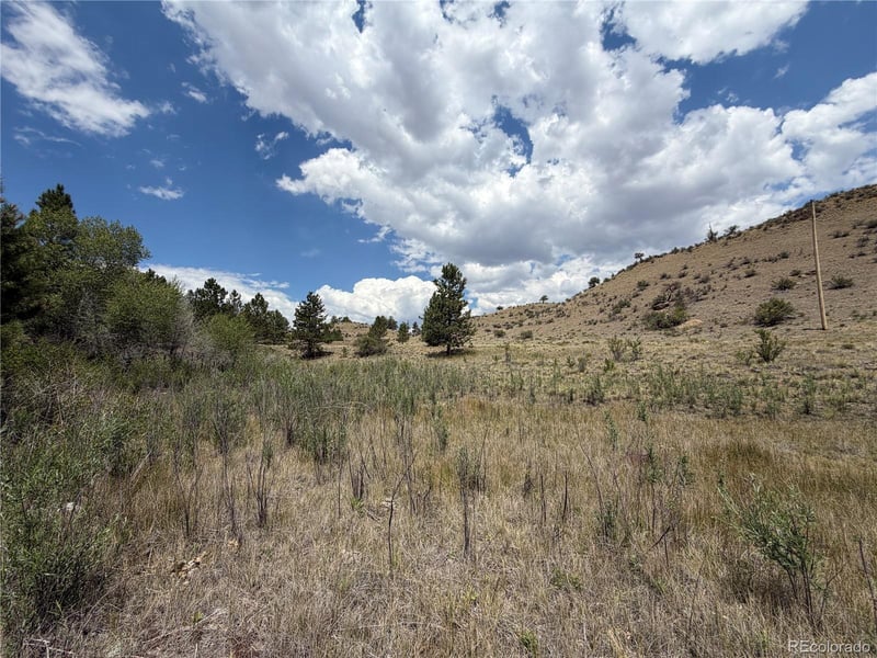 Trout St, Hartsel, CO 80449