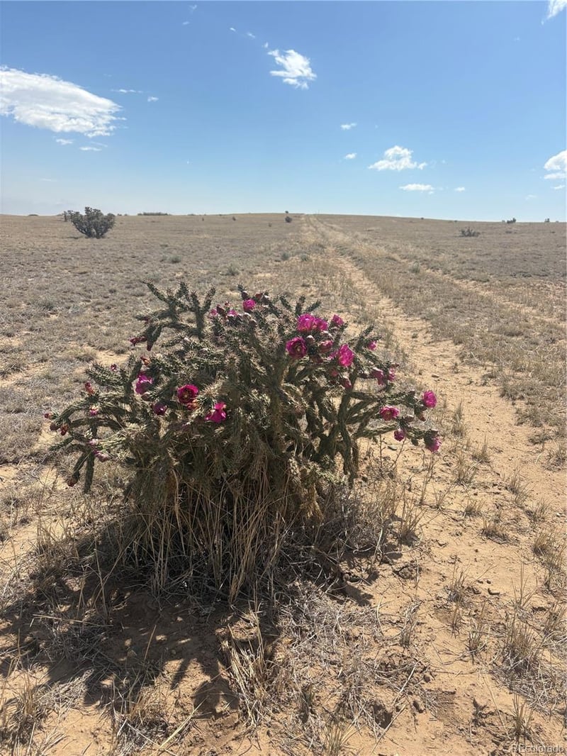 Lot 10 Cuerno Verde Ranches Lot 10, Walsenburg, CO 81089