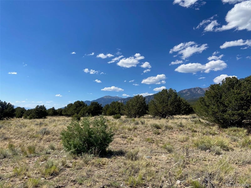 3233 Camino Del Rey, Crestone, CO 81131