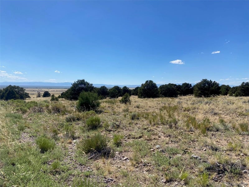 3233 Camino Del Rey, Crestone, CO 81131