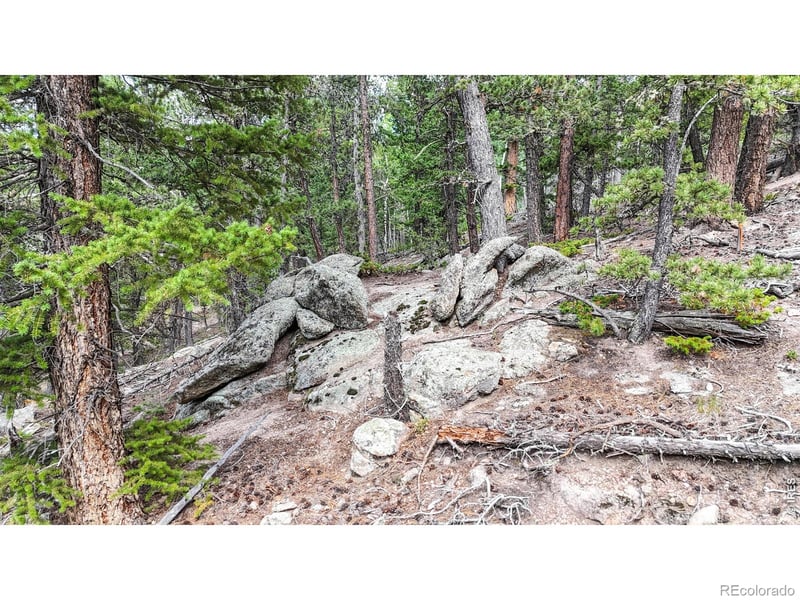 0 Hummingbird Dr, Estes Park, CO 80517