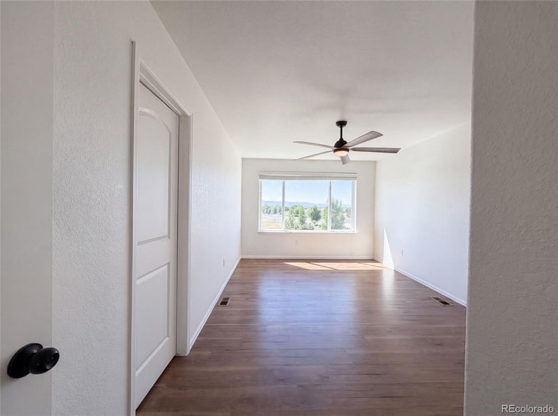 1726 Thrive Dr, Windsor, CO 80550