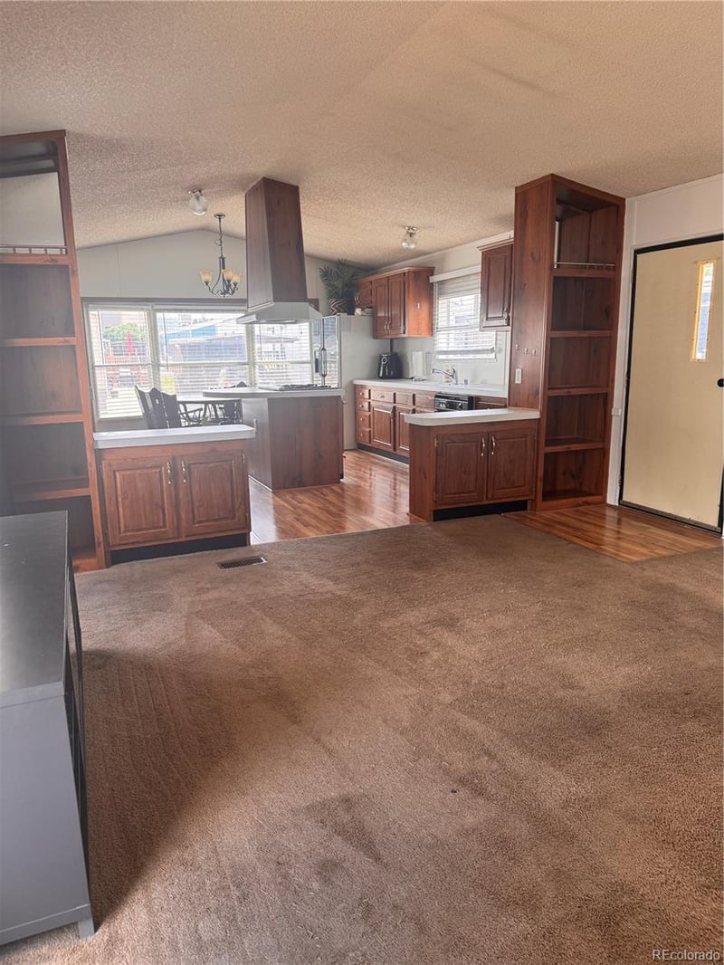 19 Darren St, Castle Rock, CO 80109