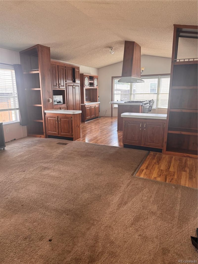 19 Darren St, Castle Rock, CO 80109
