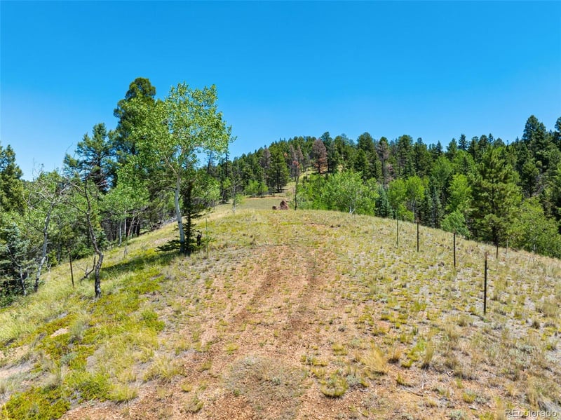 404 Morning Star Creek Trl, Florissant, CO 80816