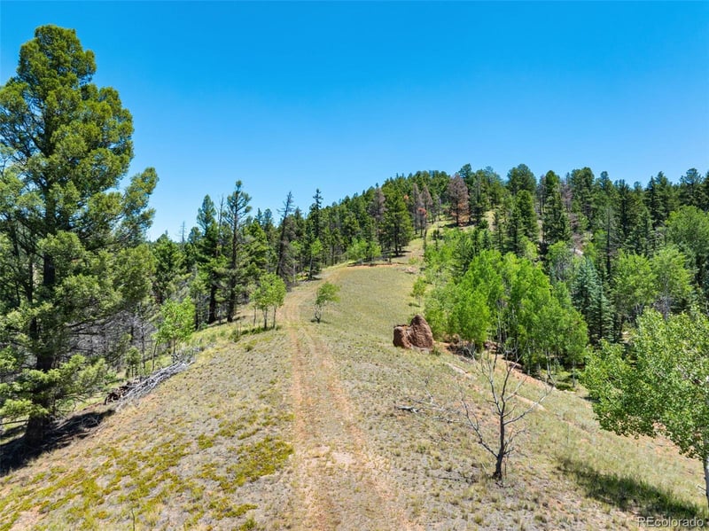 404 Morning Star Creek Trl, Florissant, CO 80816