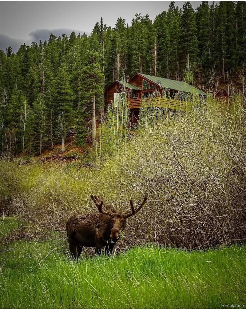 1682 Clark Rd, Bailey, CO 80421