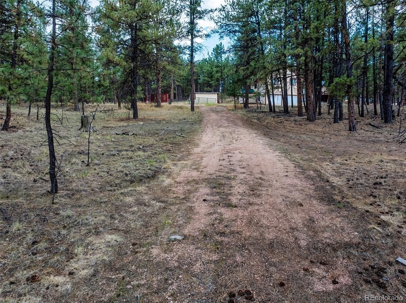 41 - 73 Ingels Dr, Florissant, CO 80816