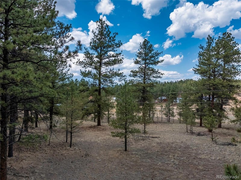 41 - 73 Ingels Dr, Florissant, CO 80816