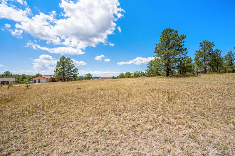 91 Adair Cir, Florissant, CO 80816