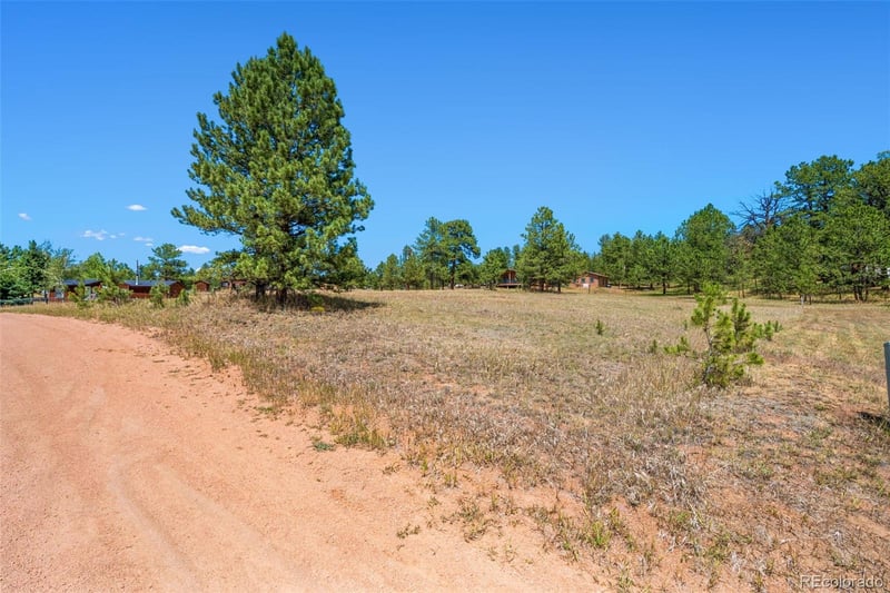 91 Adair Cir, Florissant, CO 80816