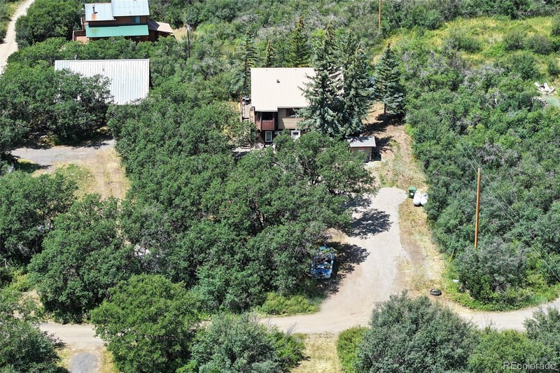15699 Aspen Glenn Ln, Collbran, CO 81624