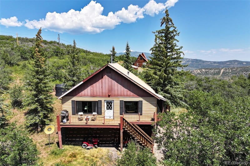 15699 Aspen Glenn Ln, Collbran, CO 81624