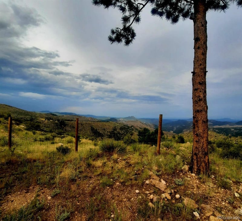 594 Hi Meadow Dr, Bailey, CO 80421