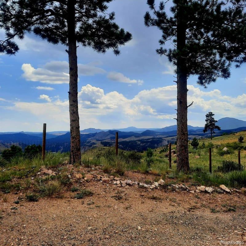 594 Hi Meadow Dr, Bailey, CO 80421