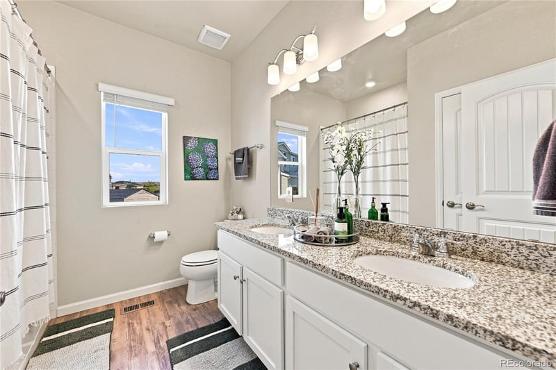 42699 Ivydel Cir, Elizabeth, CO 80107